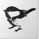 A little bird