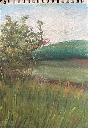tinyelephant44