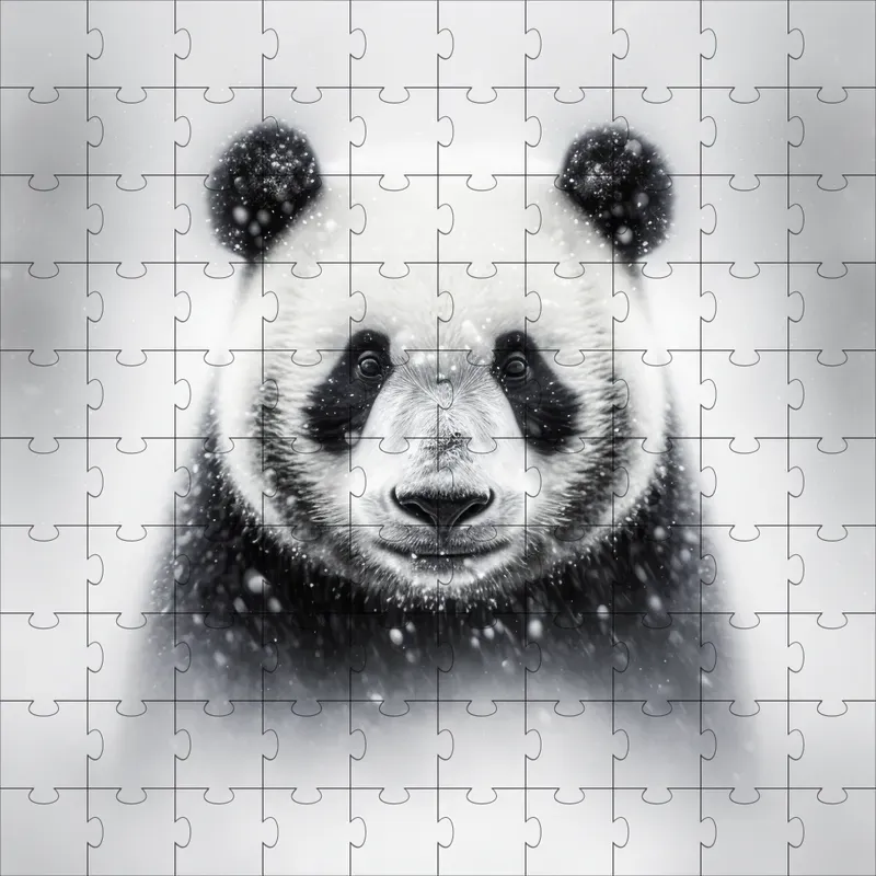 Wild Animal Portraits In Snow