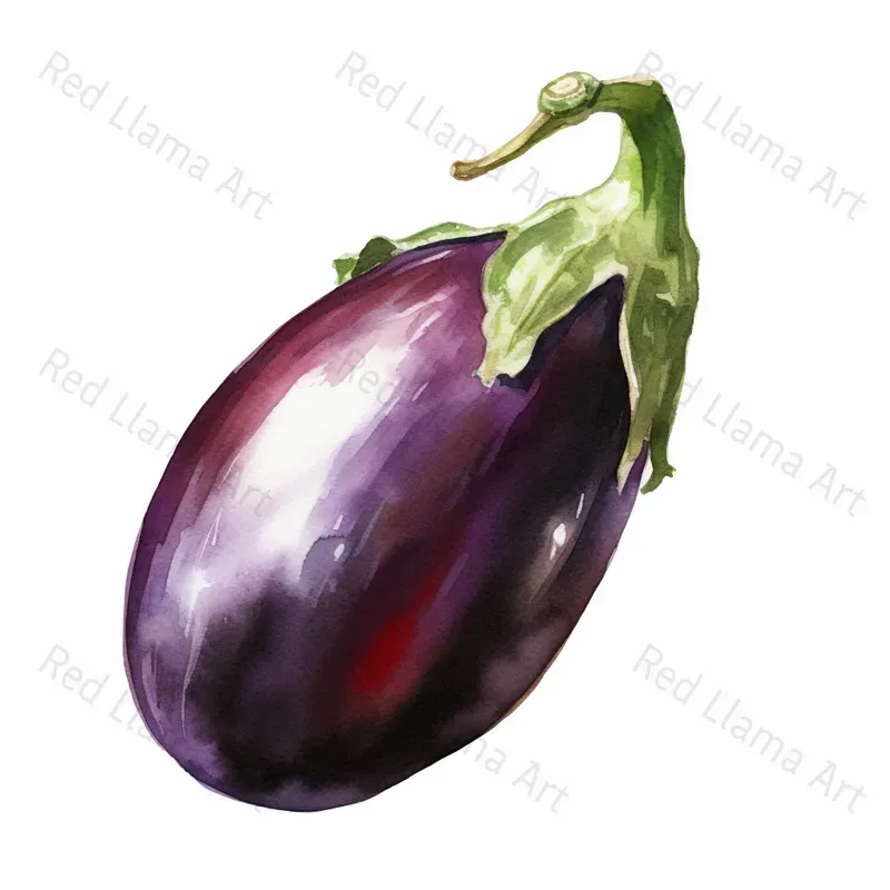 Fruits And Vegetables Illustrations