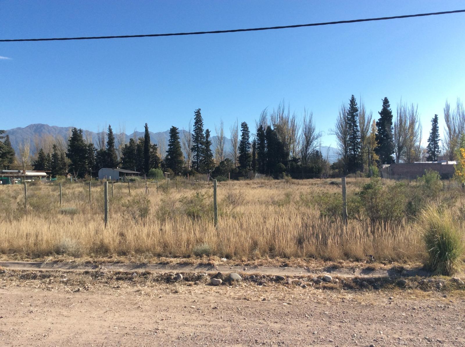 Venta - Bóveda, nicho o parcela en Los Pioneros , Luján de Cuyo - Foto 5