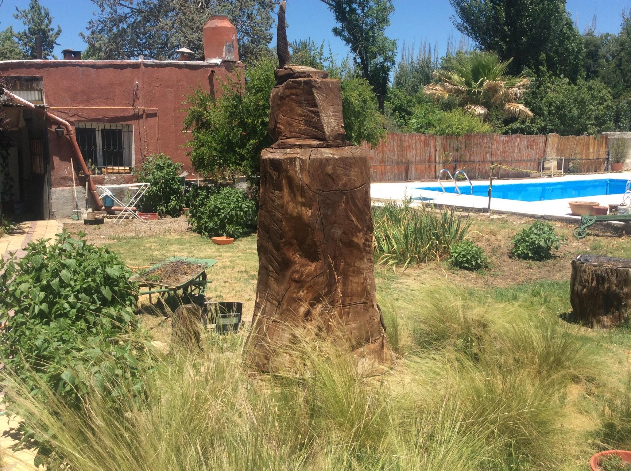Venta - Local comercial en FRANCISCO DELGADO , Tunuyán - Foto 3