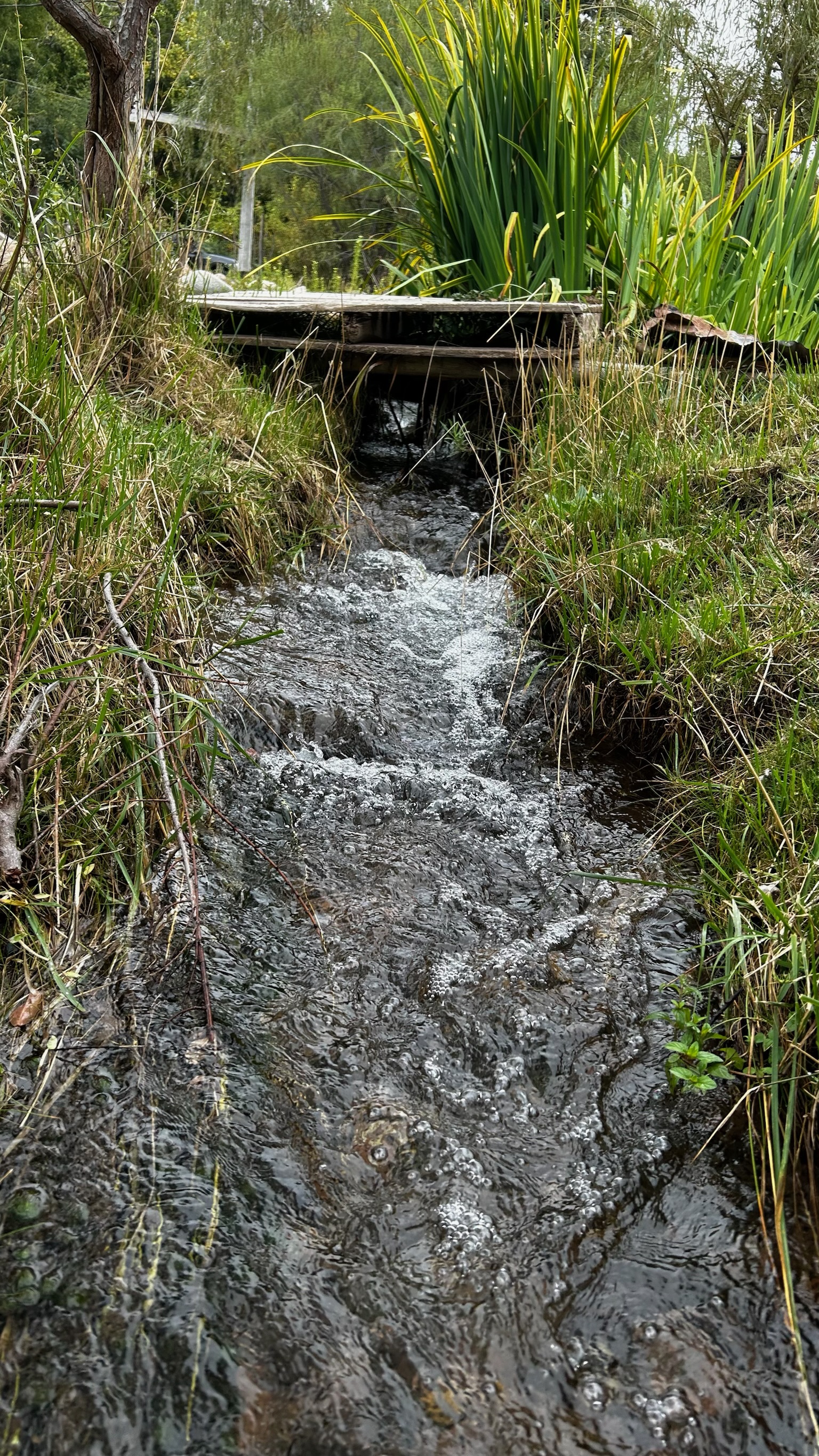 Venta - Lote/Terreno en La Quebrada , Tunuyán - Foto 6