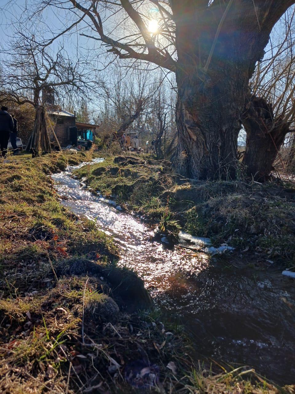 Venta - Bóveda, nicho o parcela en Calle Publica Guiñazu , Tunuyán - Foto 4