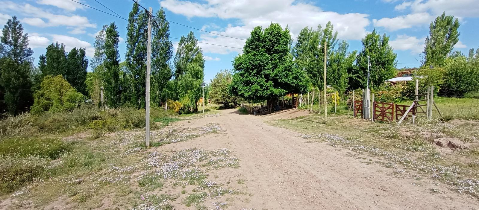Venta - Bóveda, nicho o parcela en La Quebrada , Tunuyán - Foto 4