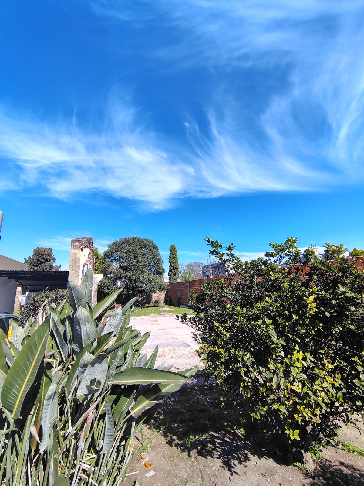 Venta - Lote/Terreno en Juan Bautista Alberdi 1419, San Antonio de Padua - Foto 6