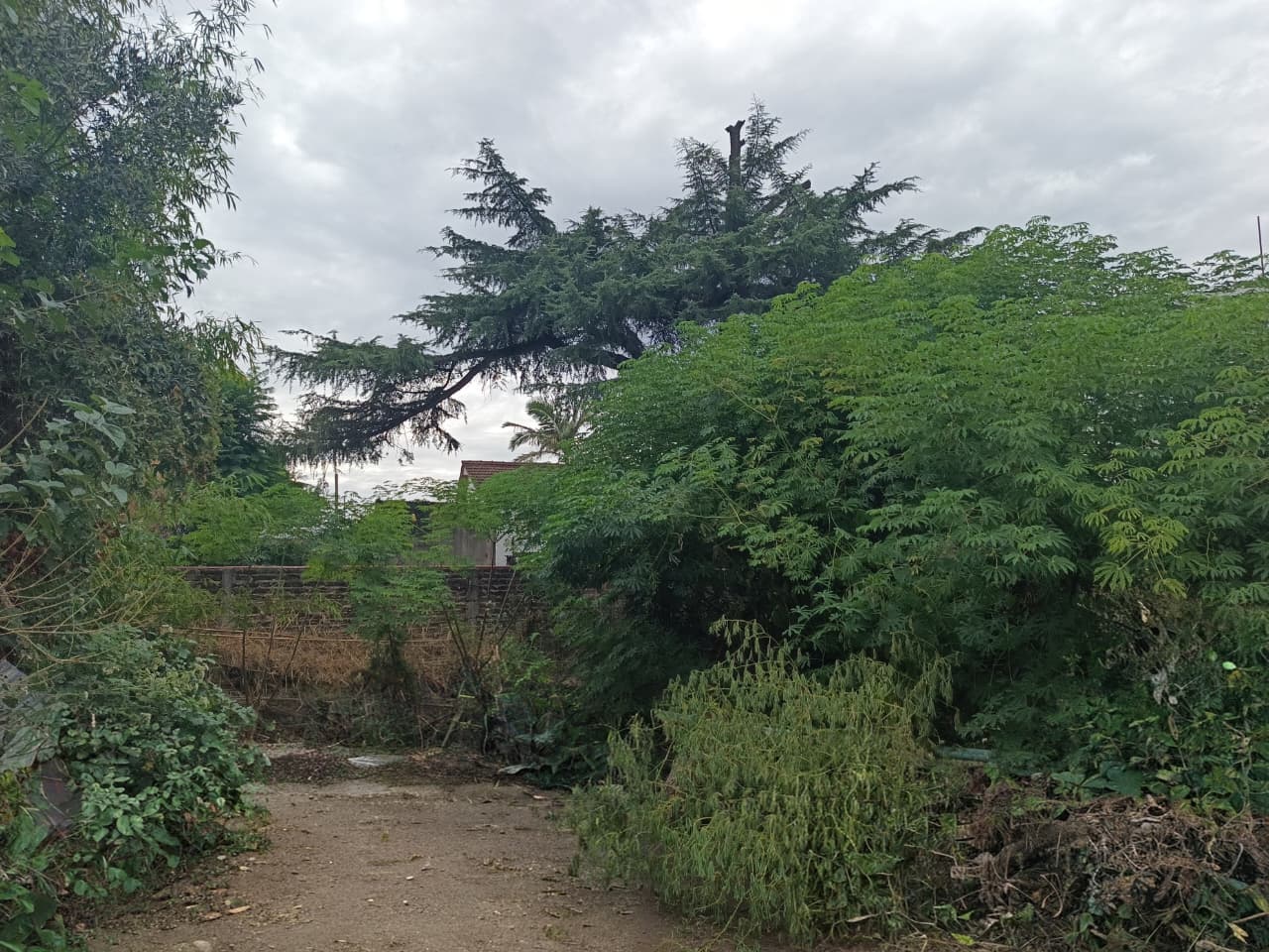 Venta - Lote/Terreno en Juan Bautista Alberdi 1300, San Antonio de Padua. RETASADO - Foto 7