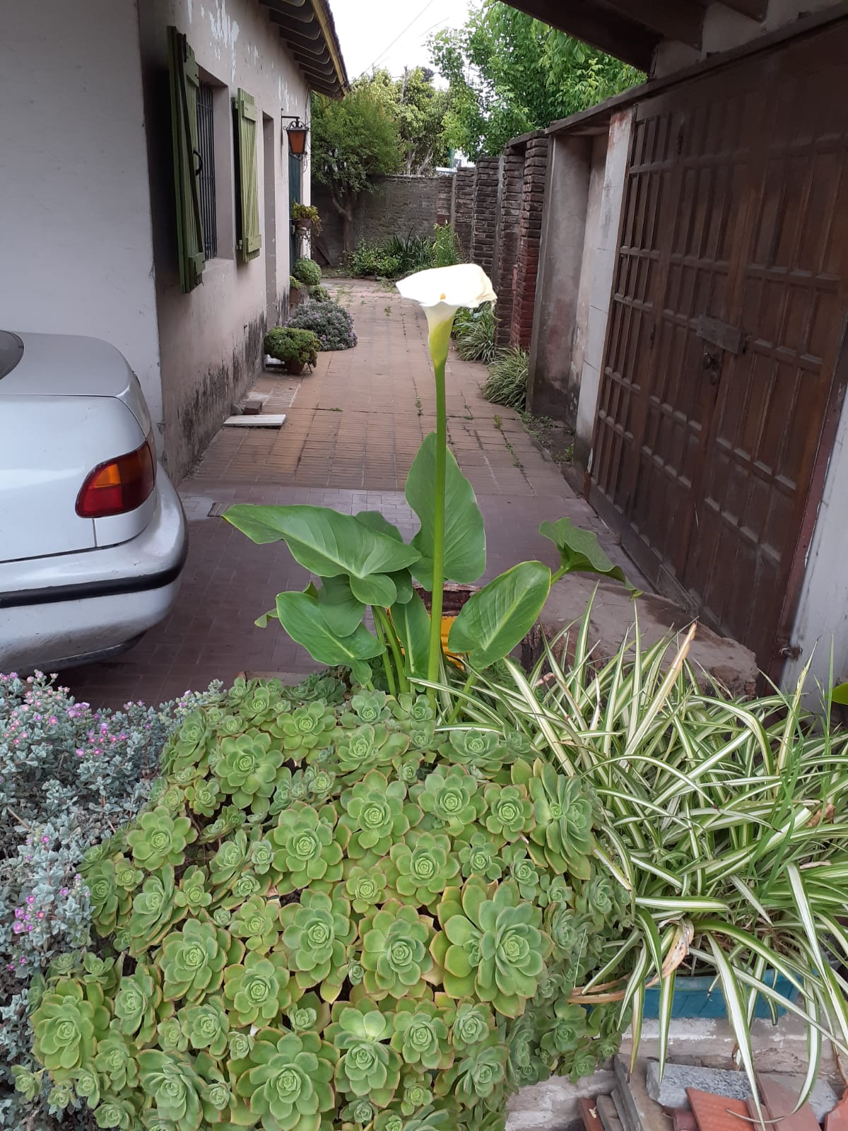Venta - Casa en 14 de Julio 3986, Castelar - Foto 4