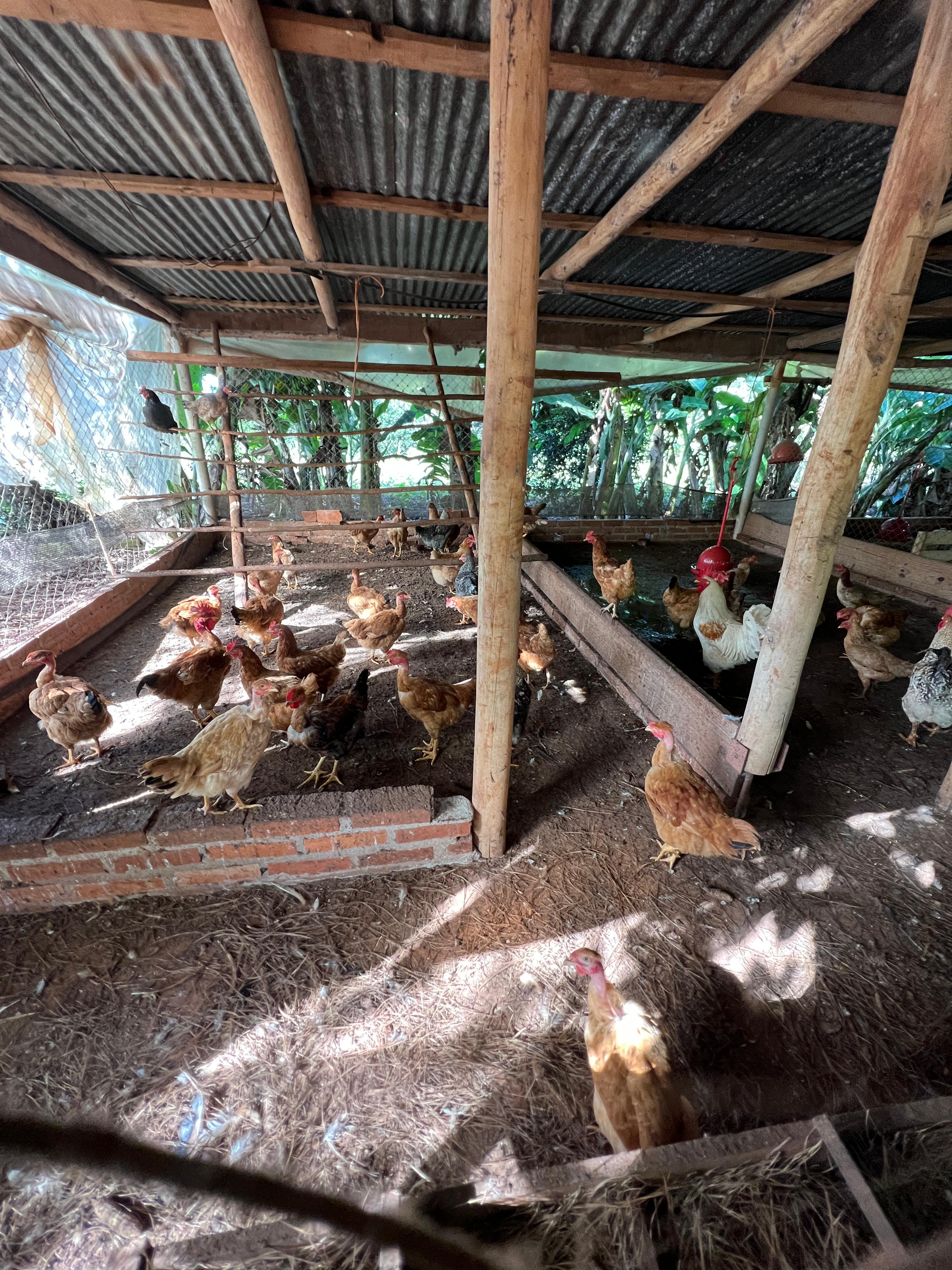 Venta - Lote/Terreno en  , Garuhapé - Foto 12