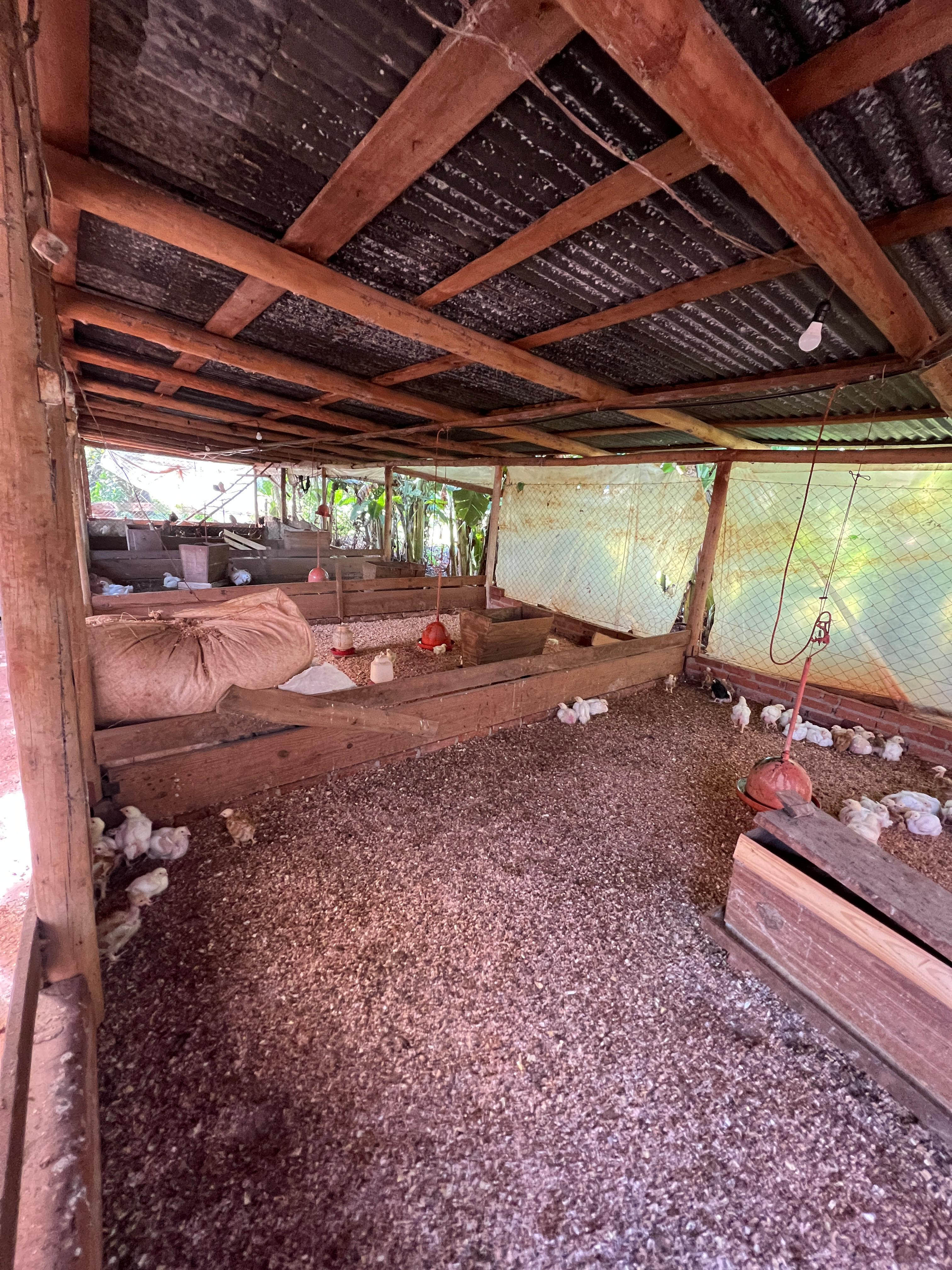 Venta - Lote/Terreno en  , Garuhapé - Foto 13
