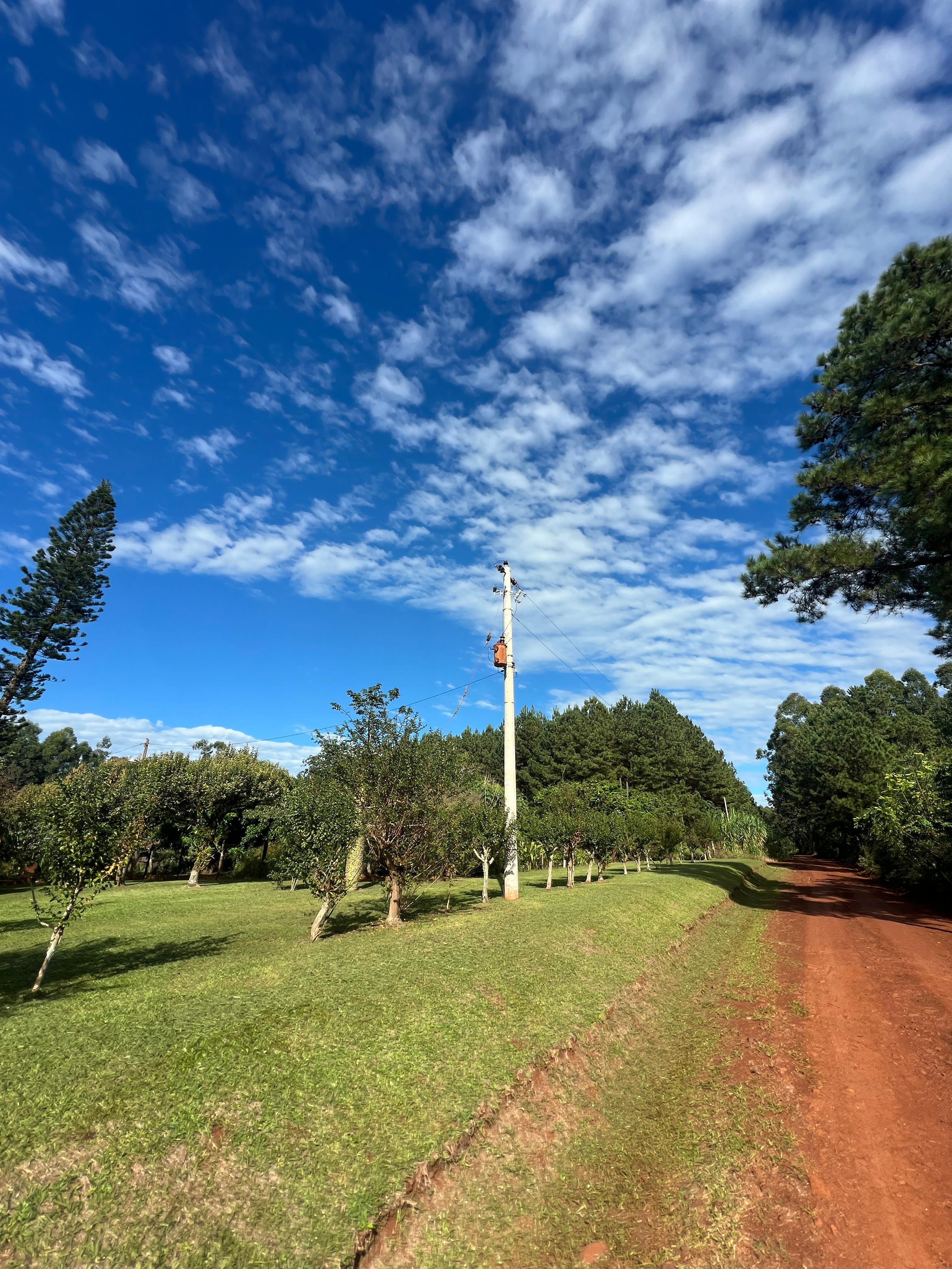Venta - Lote/Terreno en  , Garuhapé - Foto 6