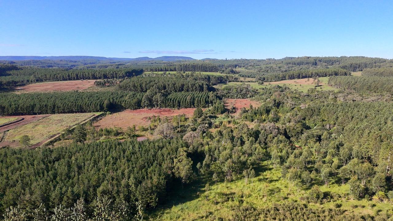 Venta - Lote/Terreno en  , Garuhapé - Foto 5