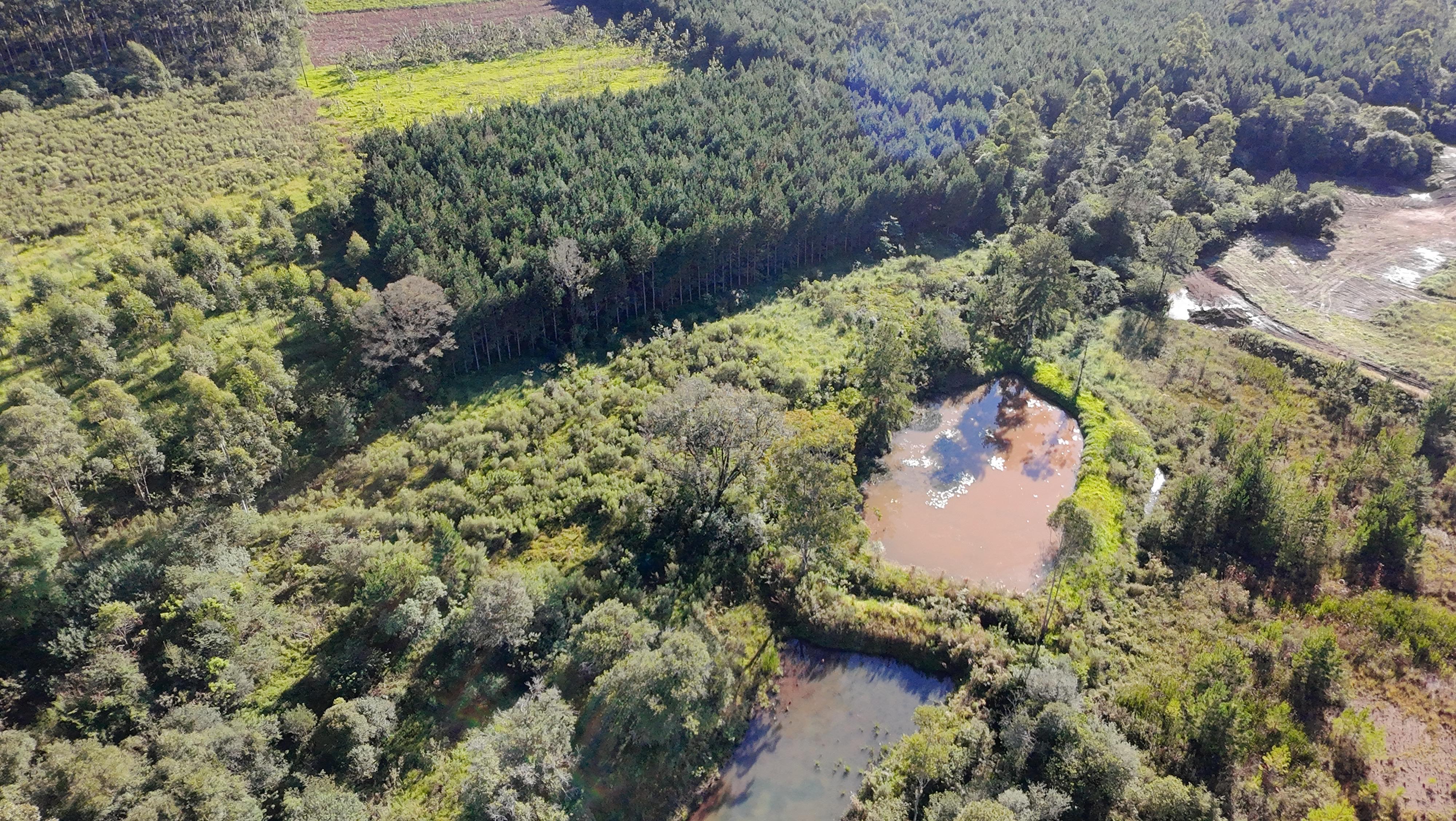 Venta - Lote/Terreno en  , Garuhapé - Foto 3
