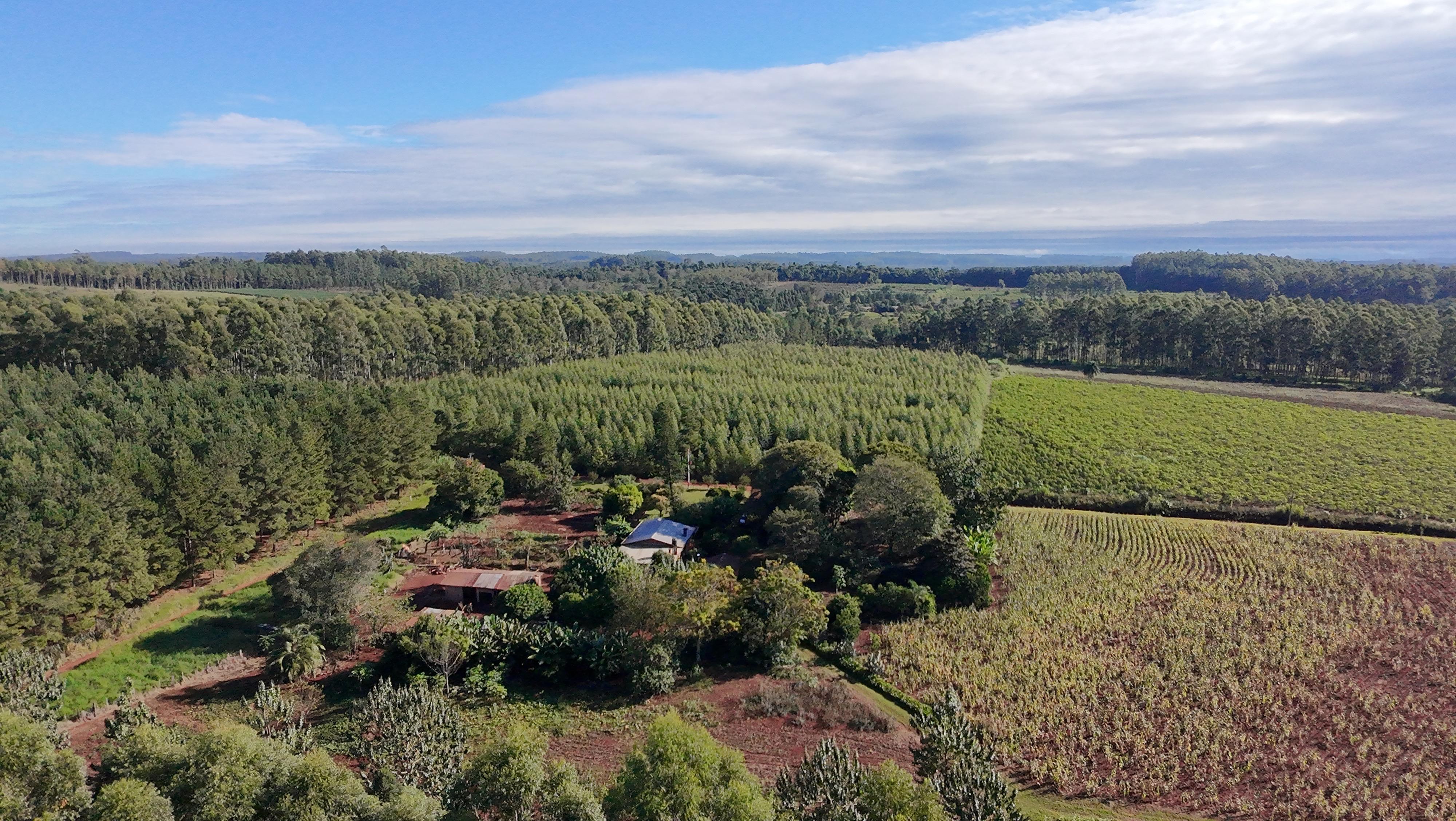 Venta - Lote/Terreno en  , Garuhapé - Foto 2