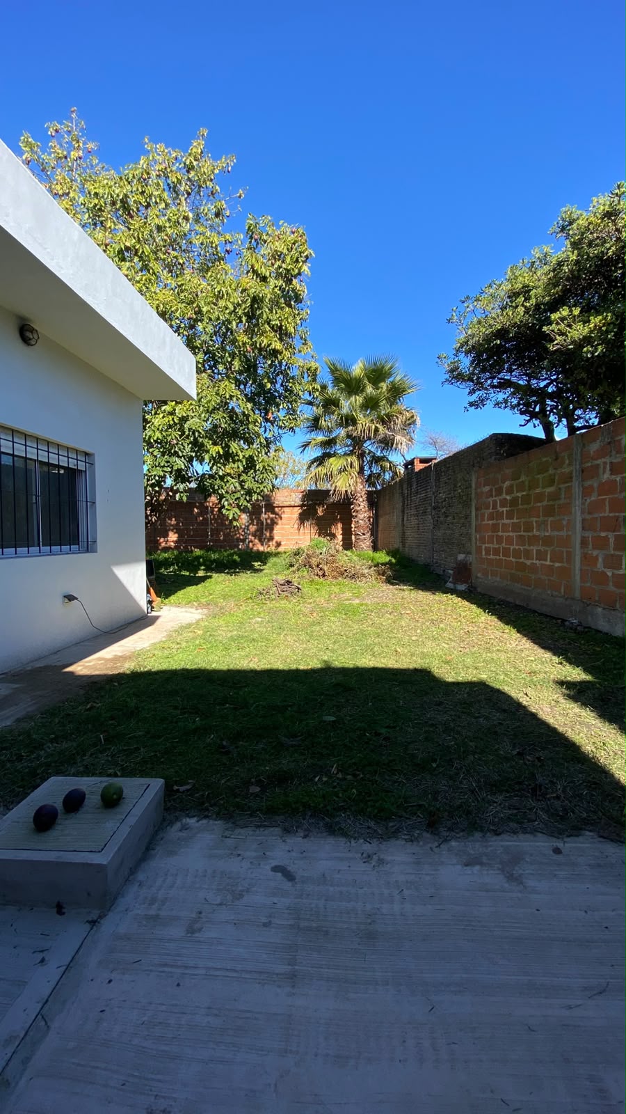 Olegario Victor Andrade 1339 - Foto 11