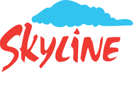 SKYLINE BUILDERS 1011 Real Estate