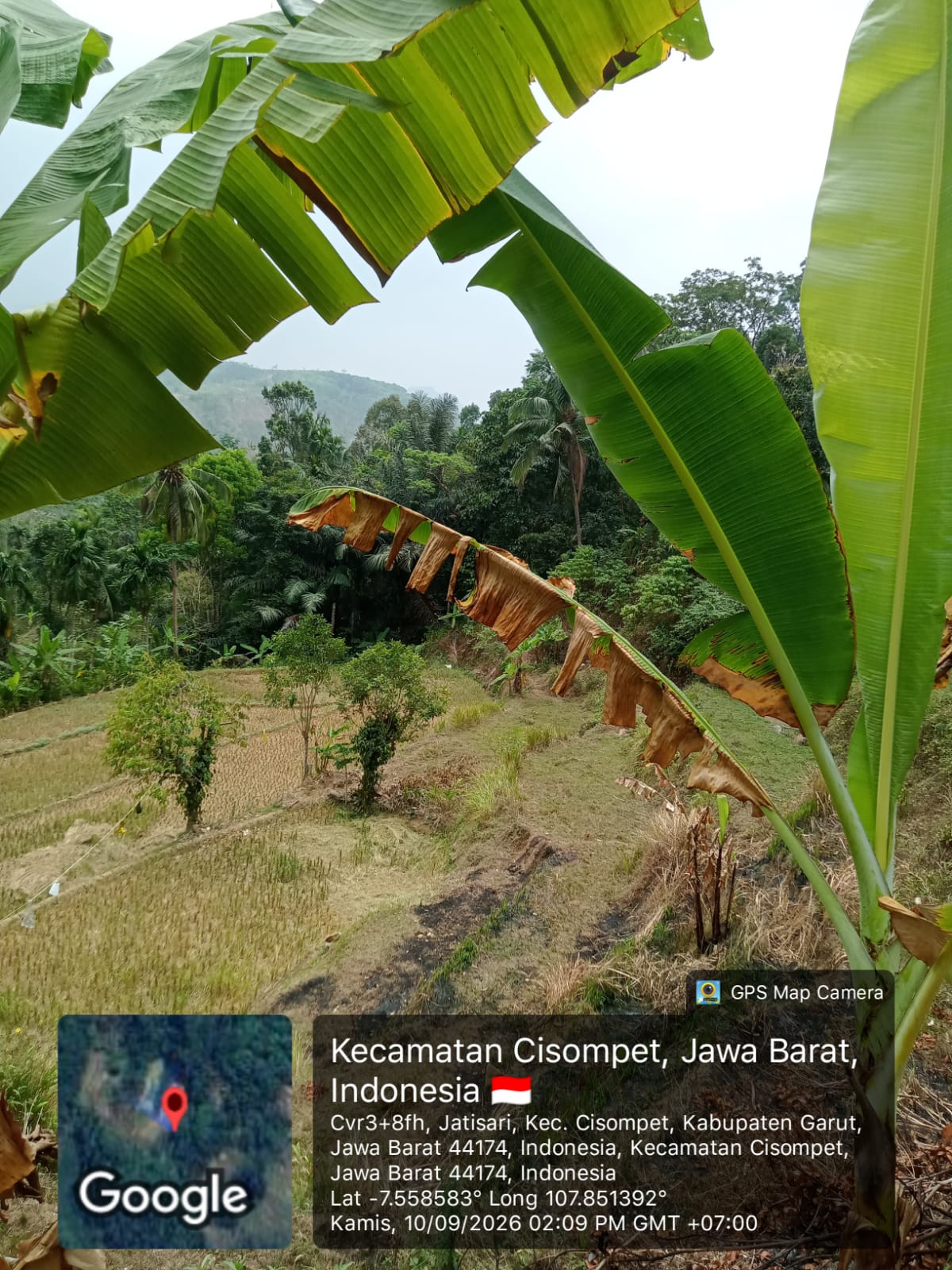 LAHAN ±0,97 HA DI CISOMPET GARUT | KEBUN PRODUKTIF di Kabupaten Garut - Foto 3