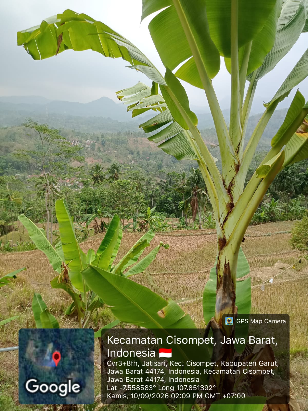 LAHAN ±0,97 HA DI CISOMPET GARUT | KEBUN PRODUKTIF di Kabupaten Garut - Foto 2