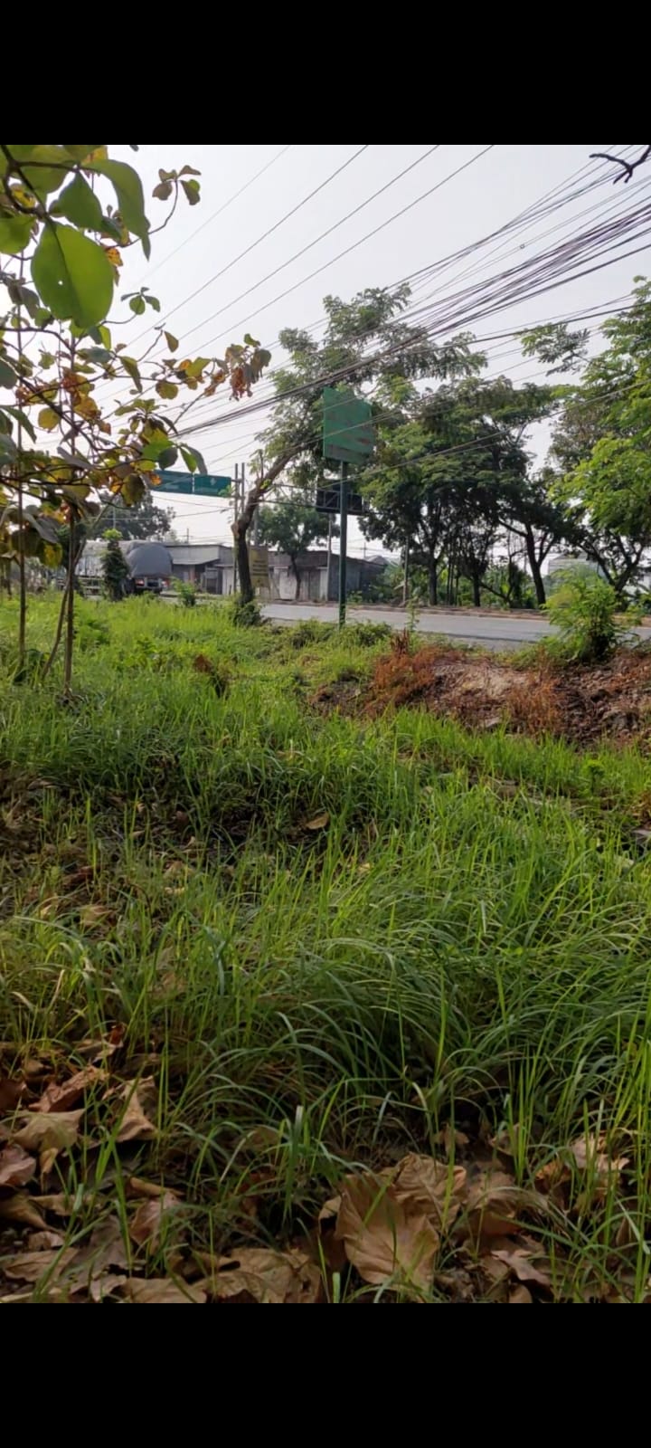 DIJUAL TANAH STRATEGIS PINGGIR JALAN PANTURA – PUCUK LAMONGAN di Kabupaten Lamongan - Foto 5