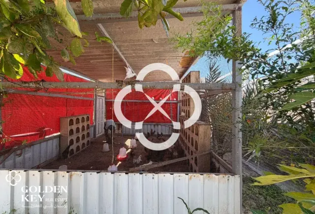 Villa w/ Private Pool 6 BR and Garden in Al Ruwais