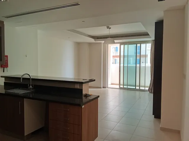Elegant Studio (Pro 13 months, Bills Included)