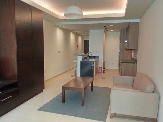 Spacious Studio (Prorated 13 months + Bills) - view 3
