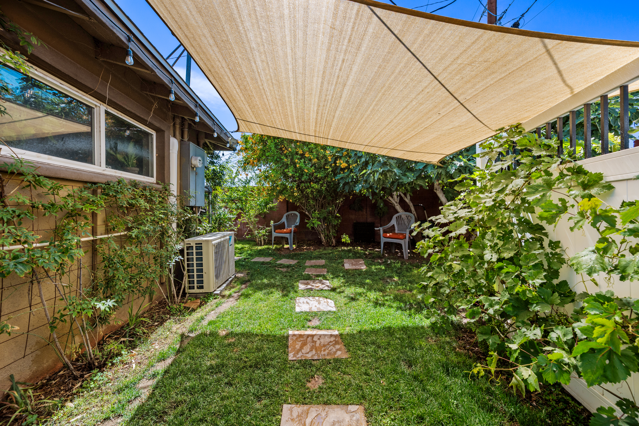 Lush, LUSH, Lush Backyard