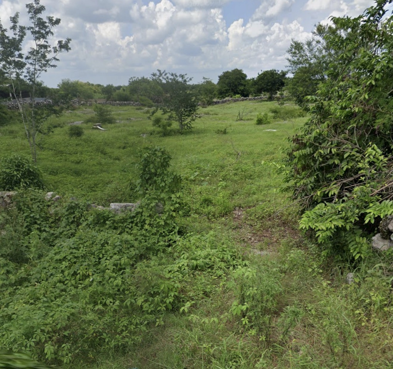 Macrolote Izamal 5 hectareas 