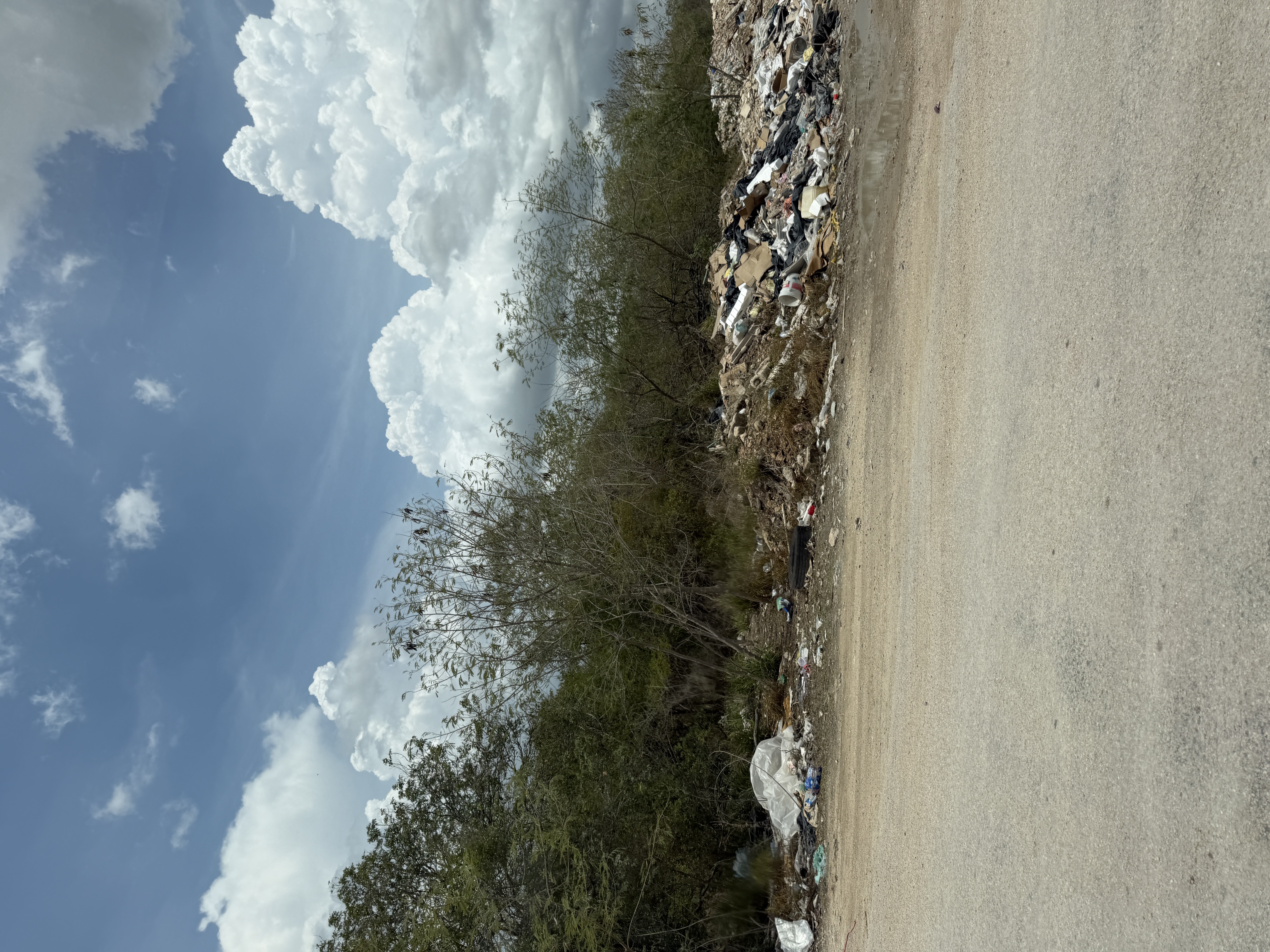 Macrolote Dzityá - MYDZ01