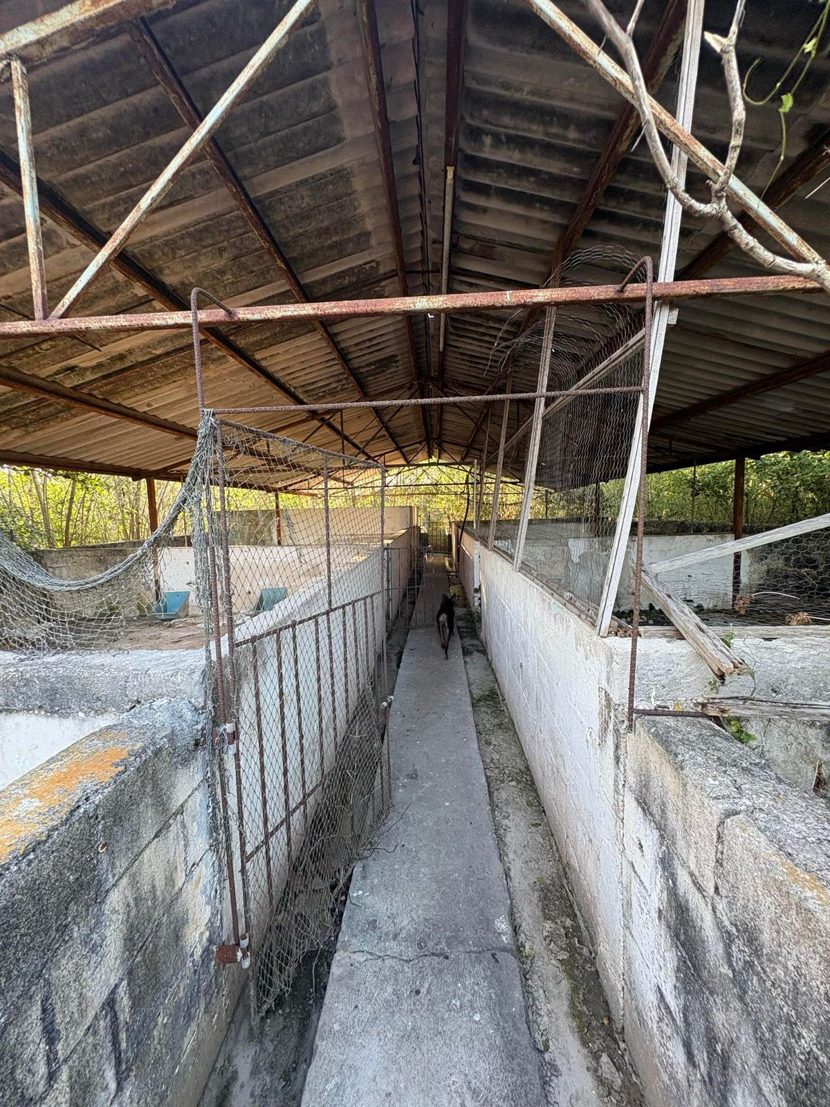 Macrolote Izamal - MYI02