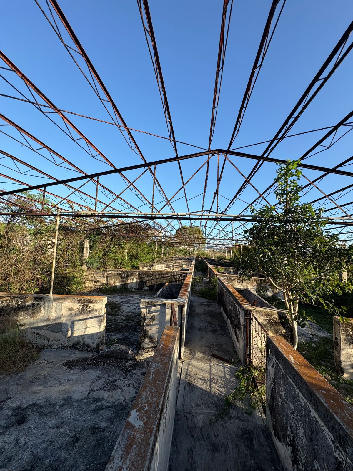 Macrolote Izamal - MYI02