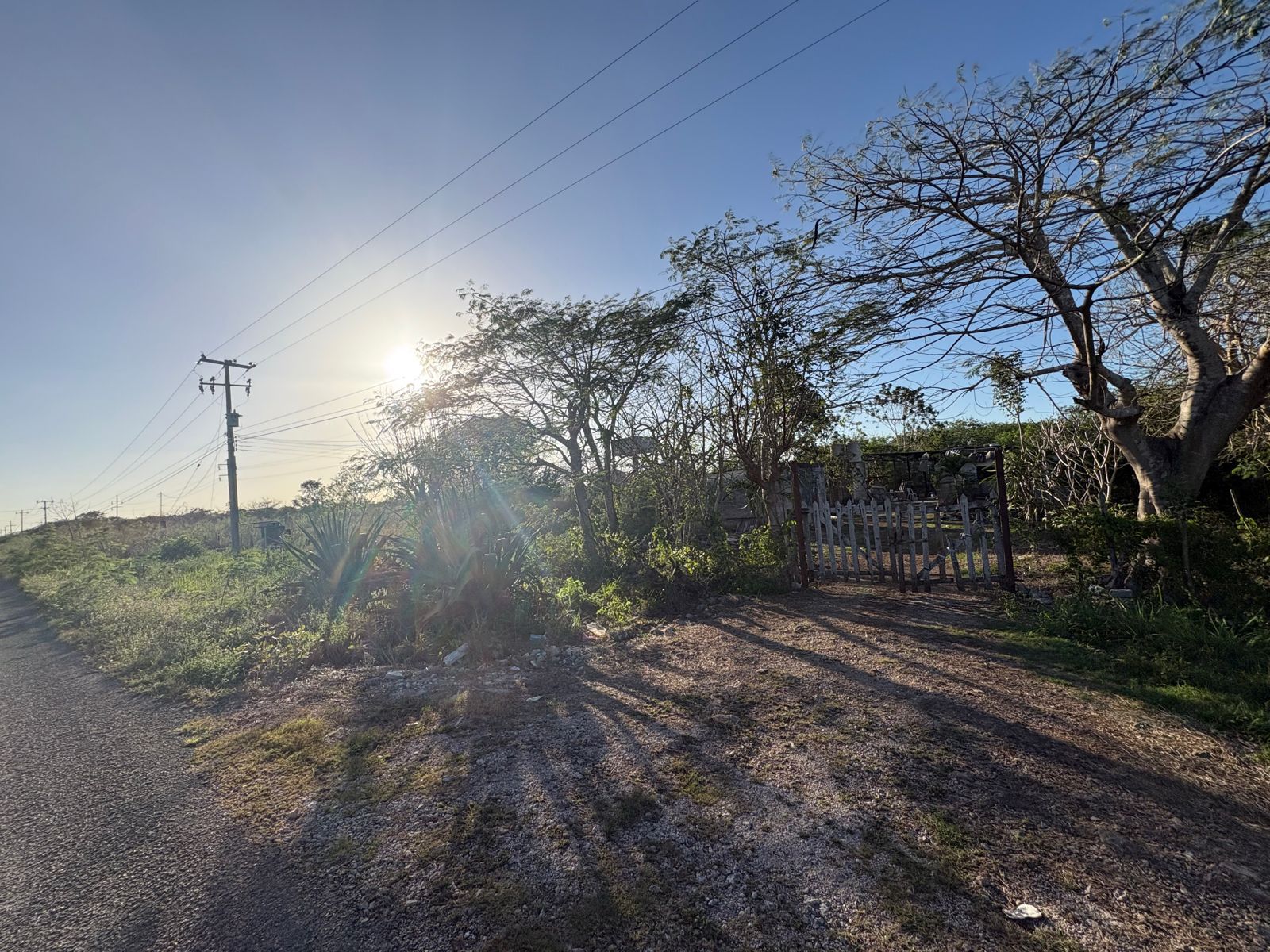 Macrolote Izamal - MYI02