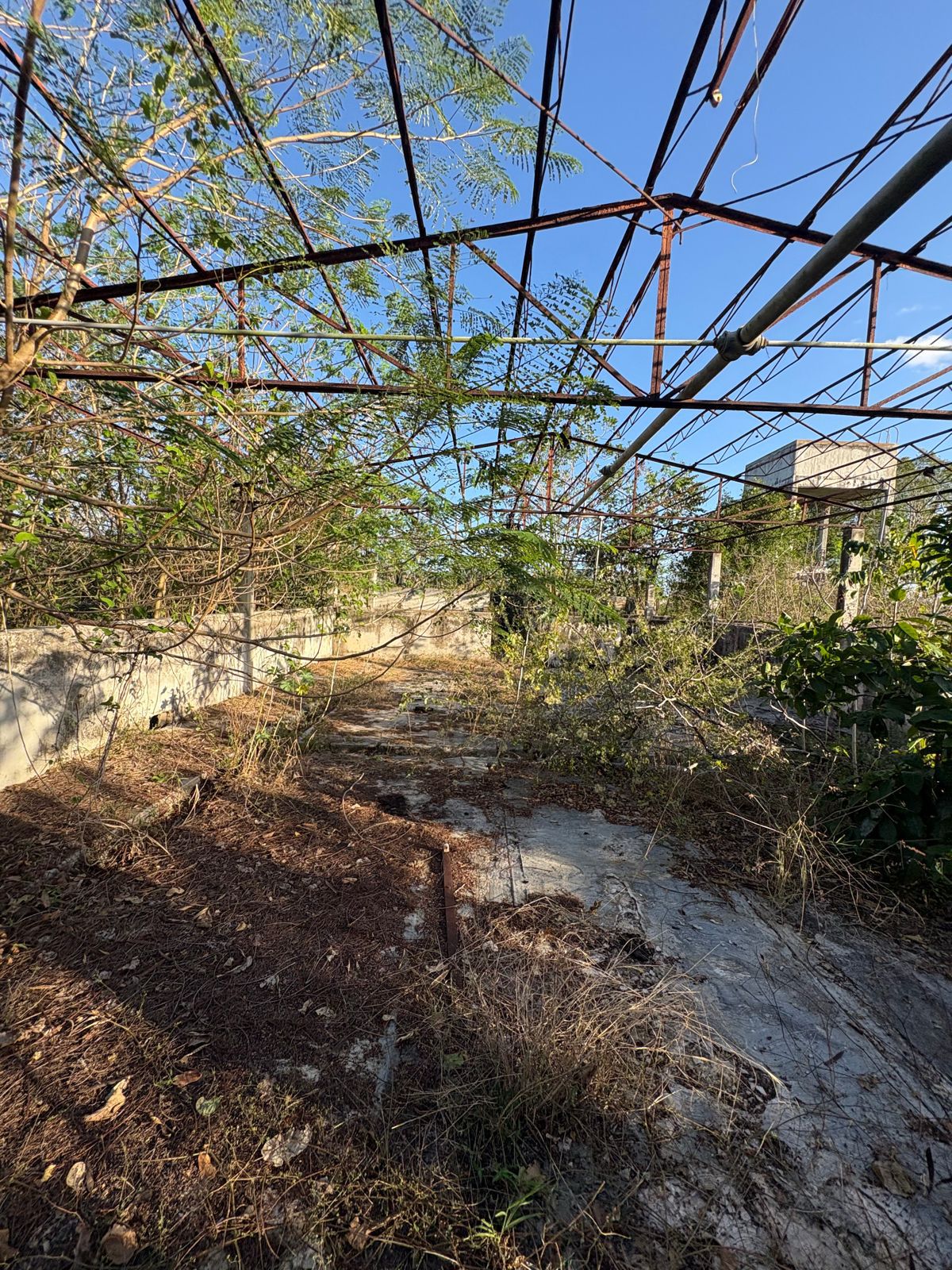 Macrolote Izamal - MYI02