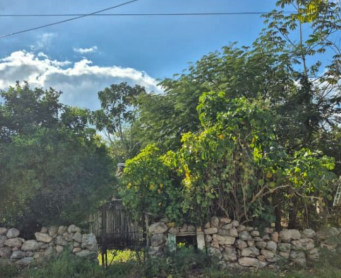 Terreno particular en Izamal 594m