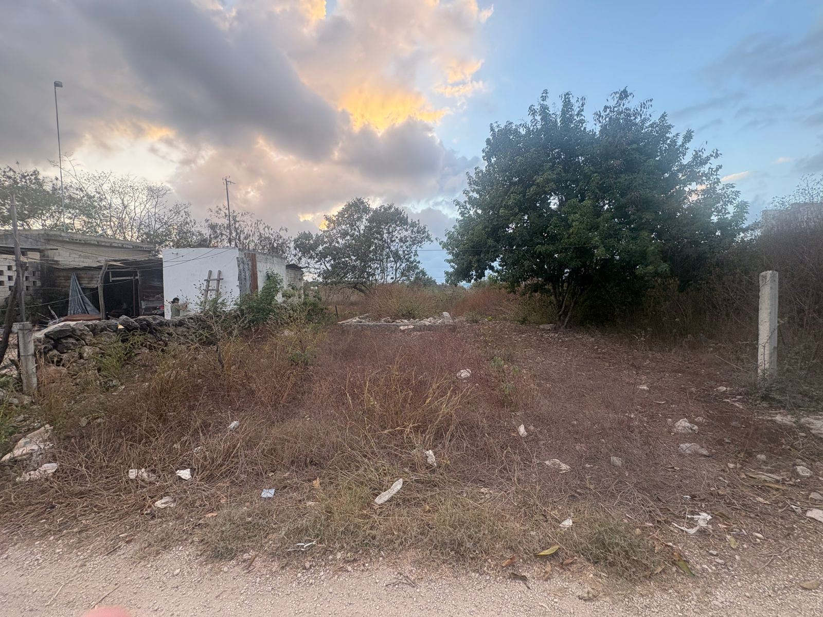 TERRENO EN IZAMAL COLONIA STO. DOMINGO