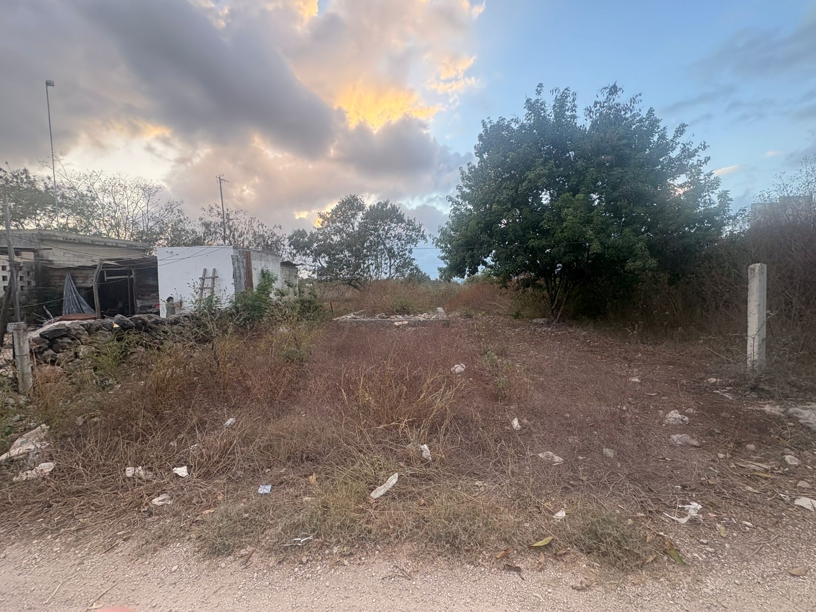 TERRENO EN IZAMAL COLONIA STO. DOMINGO