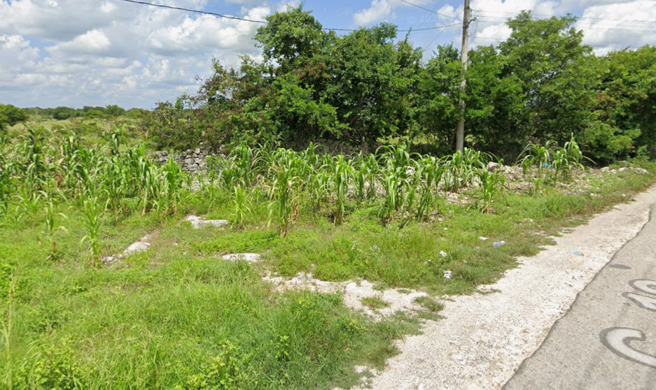 IZAMAL 3.6 HECTAREAS 
