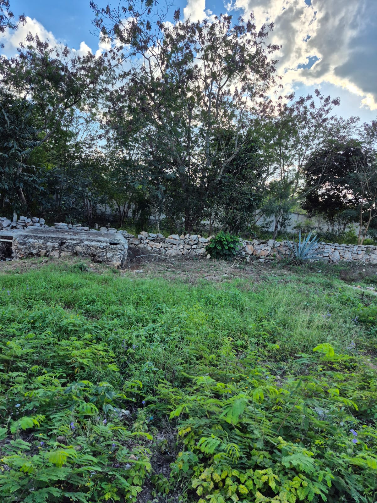 3 LOTES EN IZAMAL PROPIEDAD PRIVADA