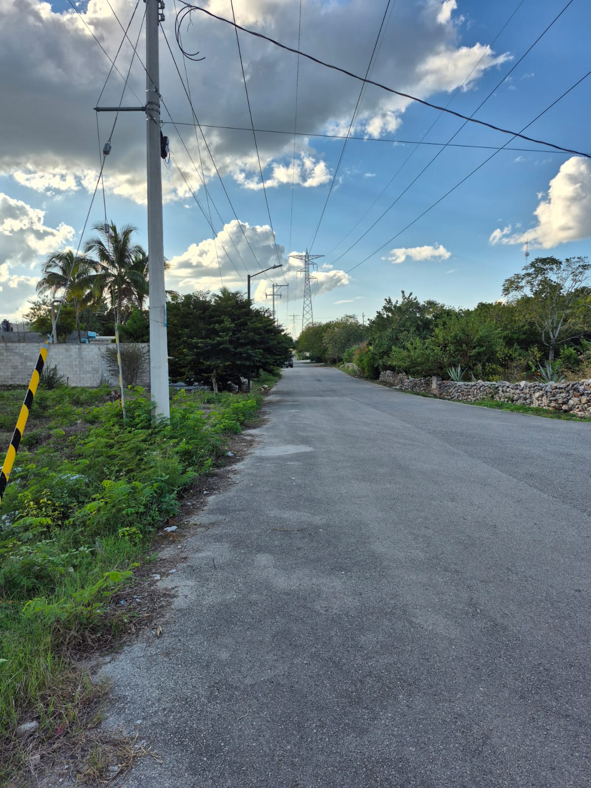3 LOTES EN IZAMAL PROPIEDAD PRIVADA
