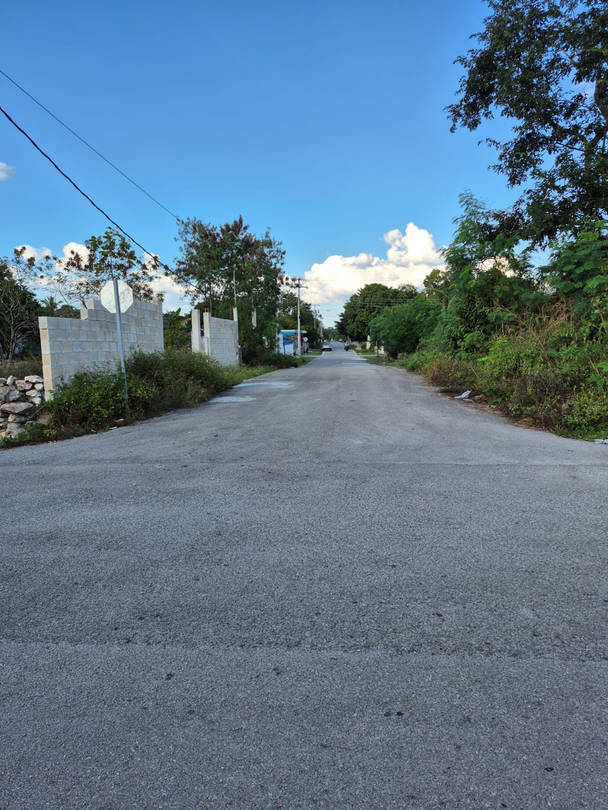 3 LOTES EN IZAMAL PROPIEDAD PRIVADA