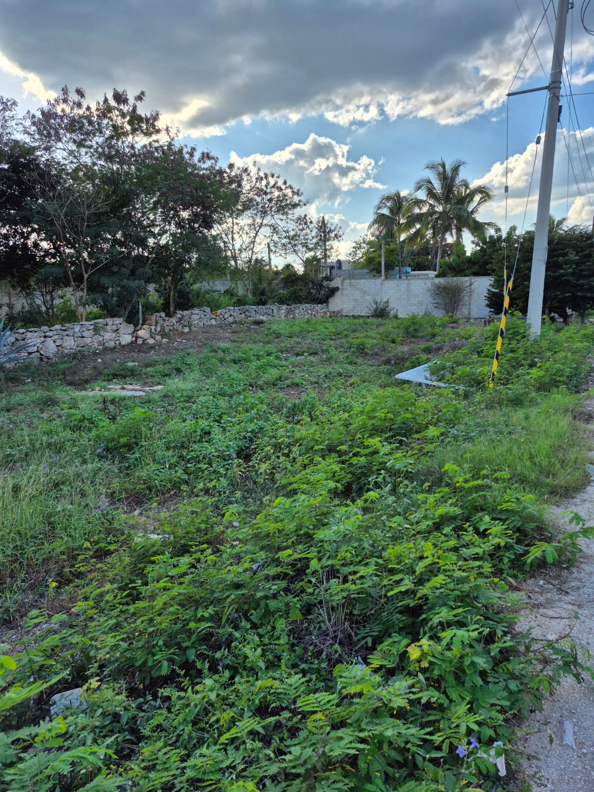 3 LOTES EN IZAMAL PROPIEDAD PRIVADA