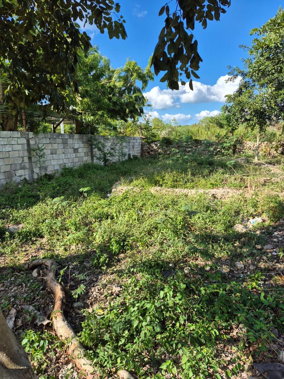 4 TERRENOS EN IZAMAL FUNDO LEGAL