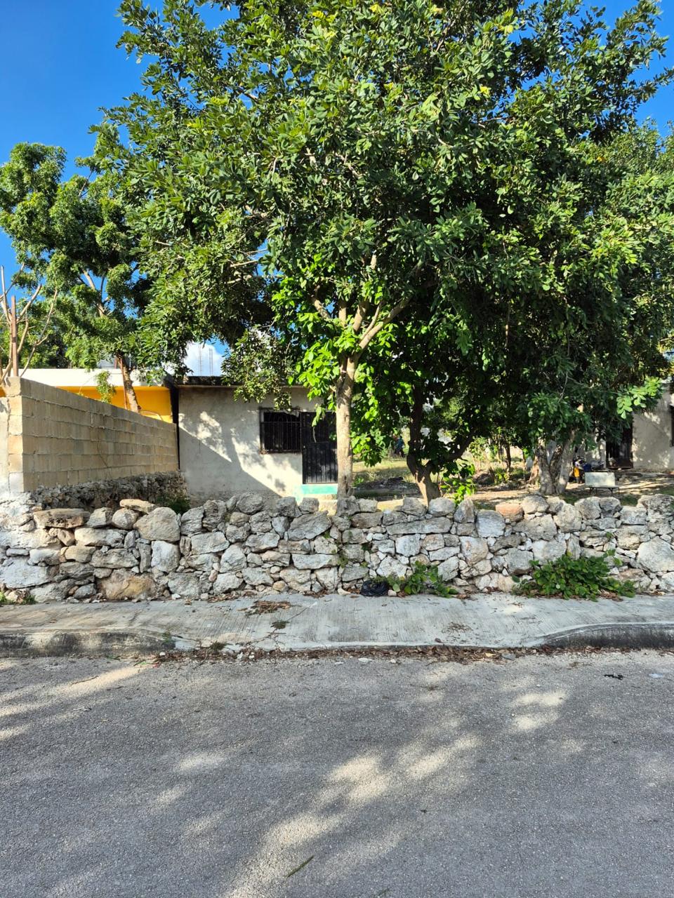 4 TERRENOS EN IZAMAL FUNDO LEGAL