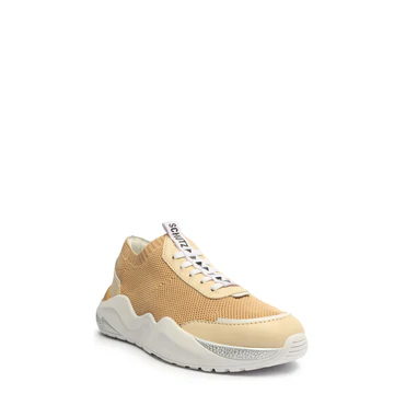 Tenis