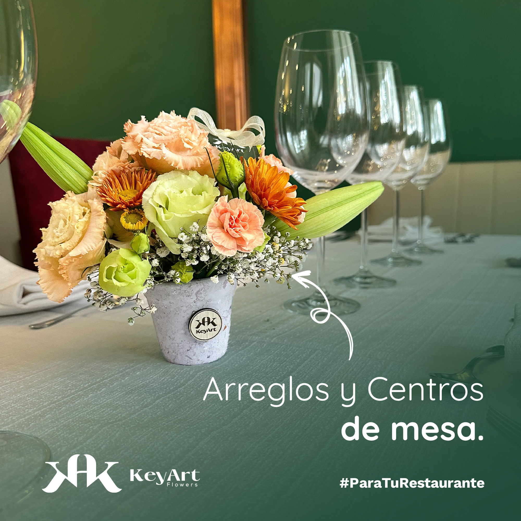 Arreglo Centro de mess