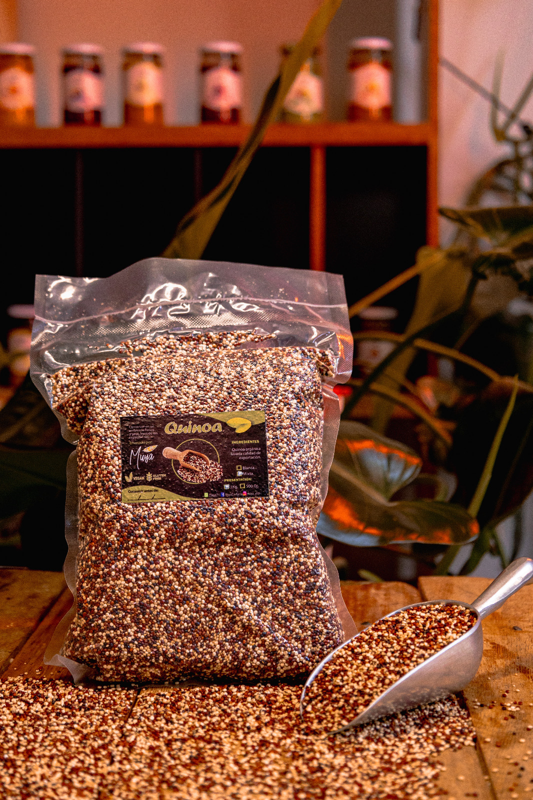 Quinoa Mixta 1Kg
