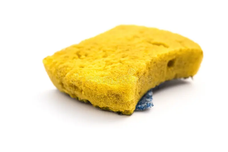 Bob