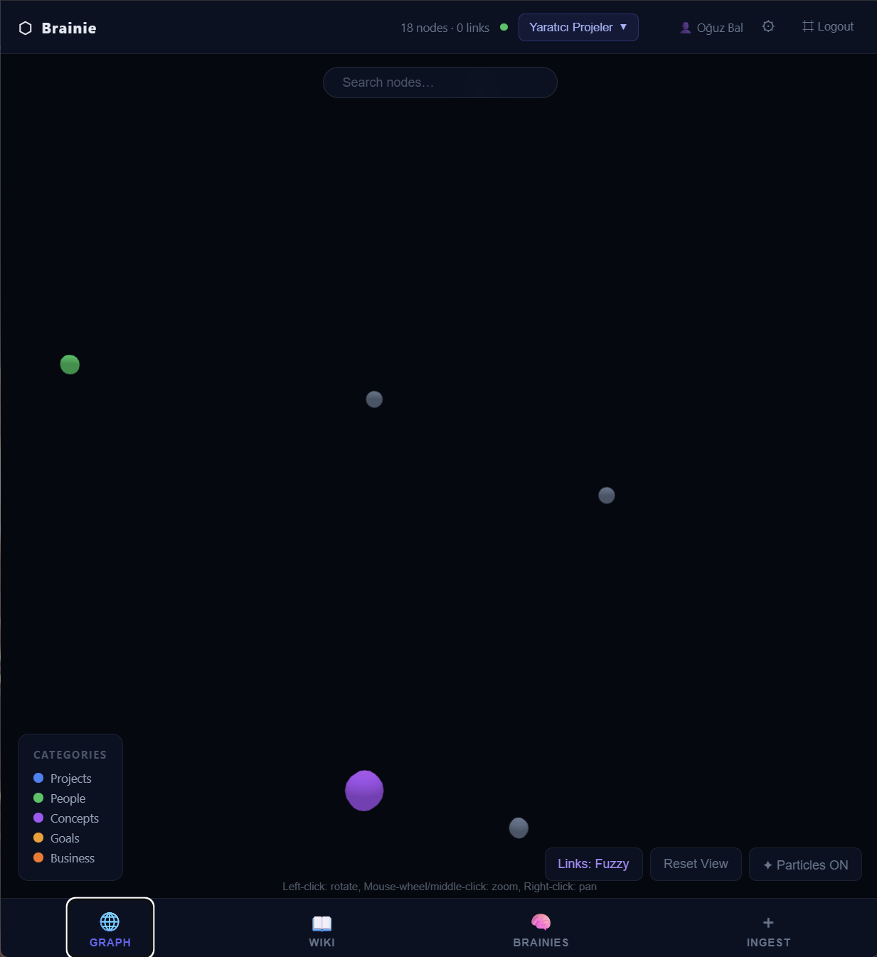 Brainie APP — 4