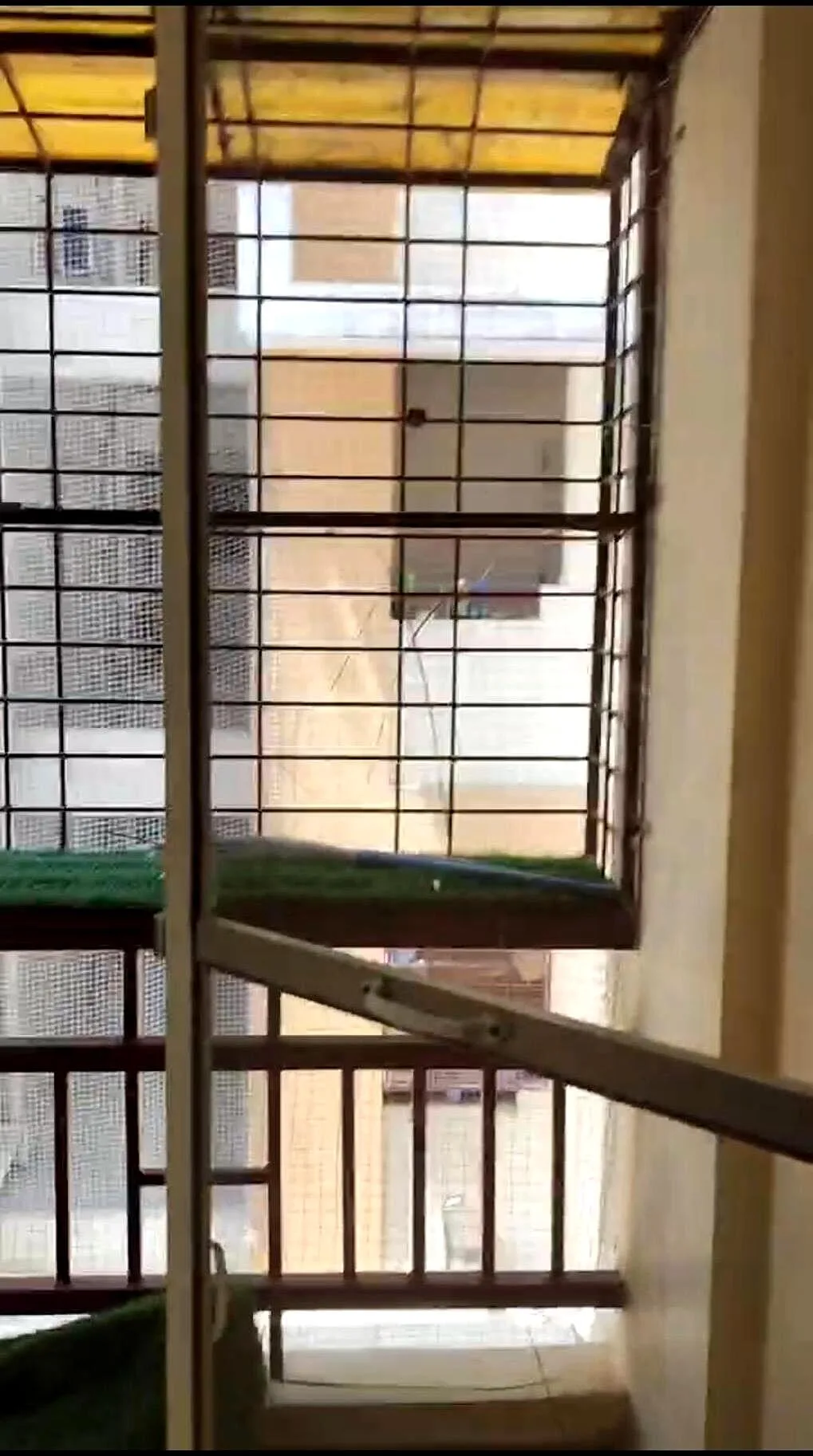 3 BHK 3 Bath Flat in Nizampet, Balcony / view