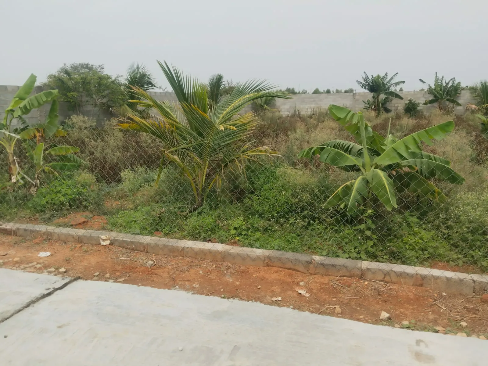 2 BHK Flat for sale in TVS, company to andhivadi,road, Thirupathi layout, Hosur, Building / outside